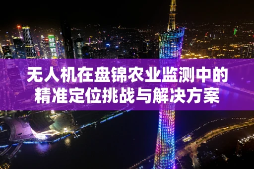 无人机在盘锦农业监测中的精准定位挑战与解决方案