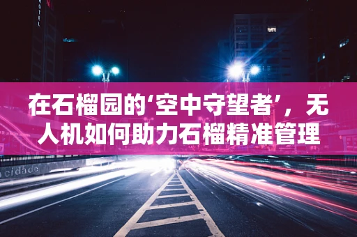 在石榴园的‘空中守望者’，无人机如何助力石榴精准管理？