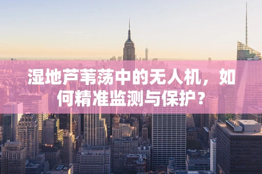 湿地芦苇荡中的无人机，如何精准监测与保护？