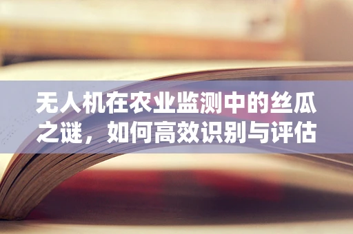 无人机在农业监测中的丝瓜之谜，如何高效识别与评估丝瓜种植区的病虫害？
