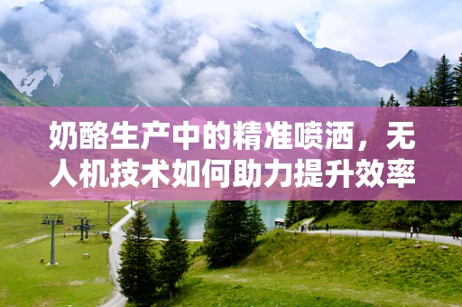 奶酪生产中的精准喷洒，无人机技术如何助力提升效率与质量？