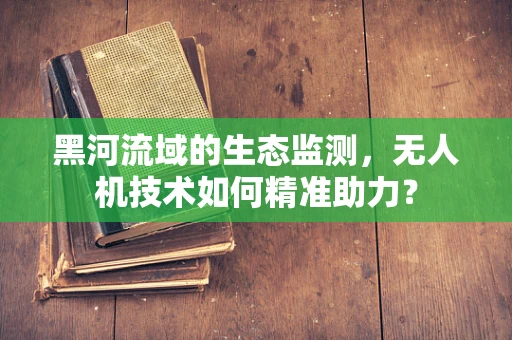 黑河流域的生态监测，无人机技术如何精准助力？