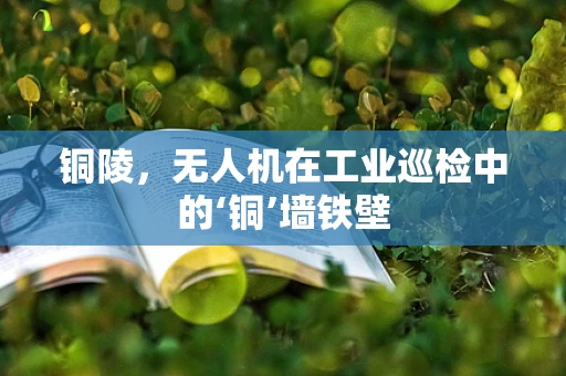 铜陵，无人机在工业巡检中的‘铜’墙铁壁