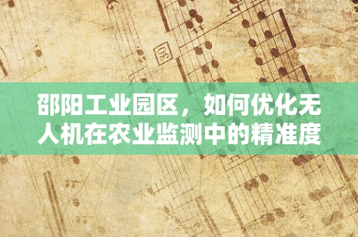 邵阳工业园区，如何优化无人机在农业监测中的精准度与成本控制？