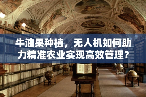 牛油果种植，无人机如何助力精准农业实现高效管理？