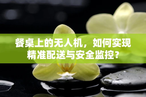 餐桌上的无人机，如何实现精准配送与安全监控？