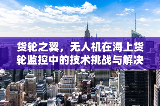 货轮之翼，无人机在海上货轮监控中的技术挑战与解决方案