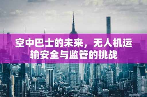 空中巴士的未来，无人机运输安全与监管的挑战