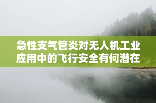 急性支气管炎对无人机工业应用中的飞行安全有何潜在影响？
