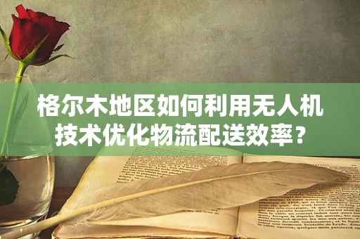 格尔木地区如何利用无人机技术优化物流配送效率？
