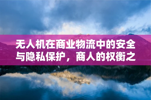 无人机在商业物流中的安全与隐私保护，商人的权衡之道