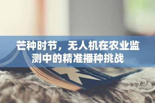 芒种时节，无人机在农业监测中的精准播种挑战