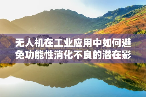 无人机在工业应用中如何避免功能性消化不良的潜在影响？