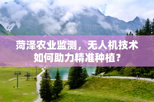 菏泽农业监测，无人机技术如何助力精准种植？
