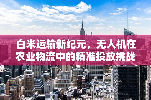 白米运输新纪元，无人机在农业物流中的精准投放挑战