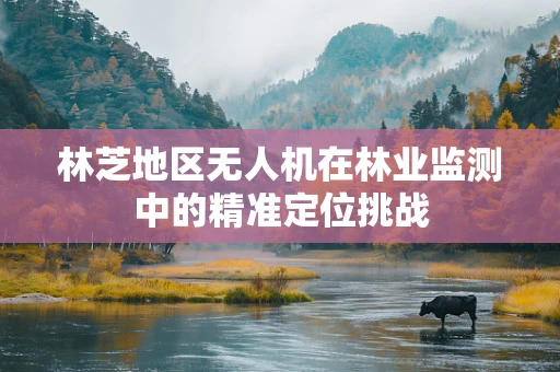 林芝地区无人机在林业监测中的精准定位挑战