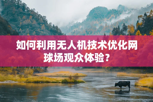 如何利用无人机技术优化网球场观众体验？