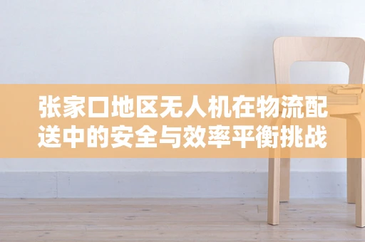 张家口地区无人机在物流配送中的安全与效率平衡挑战