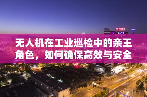 无人机在工业巡检中的亲王角色，如何确保高效与安全的共存？