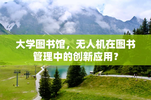 大学图书馆，无人机在图书管理中的创新应用？