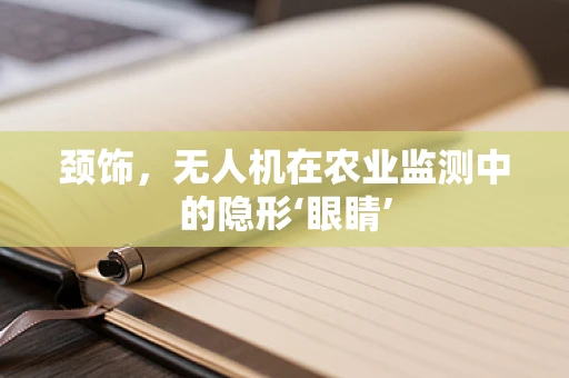 颈饰，无人机在农业监测中的隐形‘眼睛’