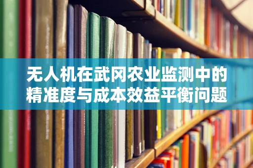 无人机在武冈农业监测中的精准度与成本效益平衡问题