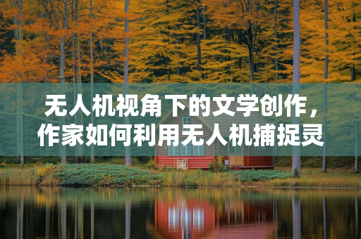 无人机视角下的文学创作，作家如何利用无人机捕捉灵感与细节？