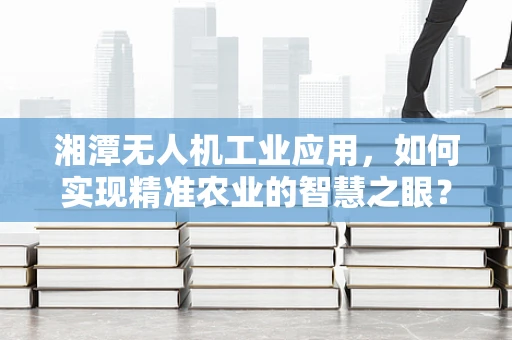 湘潭无人机工业应用，如何实现精准农业的智慧之眼？