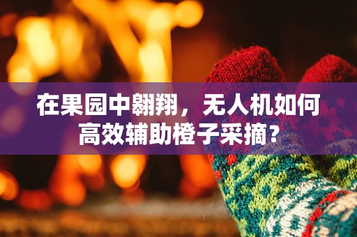 在果园中翱翔，无人机如何高效辅助橙子采摘？
