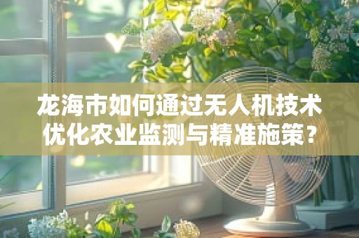 龙海市如何通过无人机技术优化农业监测与精准施策？