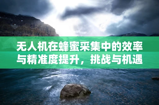 无人机在蜂蜜采集中的效率与精准度提升，挑战与机遇并存？