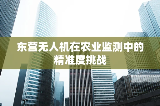 东营无人机在农业监测中的精准度挑战