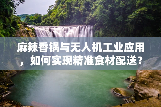 麻辣香锅与无人机工业应用，如何实现精准食材配送？