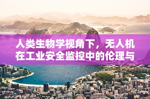 人类生物学视角下，无人机在工业安全监控中的伦理与隐私边界何在？