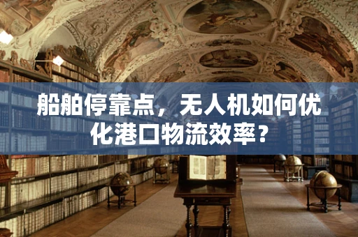 船舶停靠点，无人机如何优化港口物流效率？