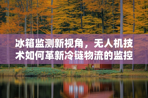 冰箱监测新视角，无人机技术如何革新冷链物流的监控效率？