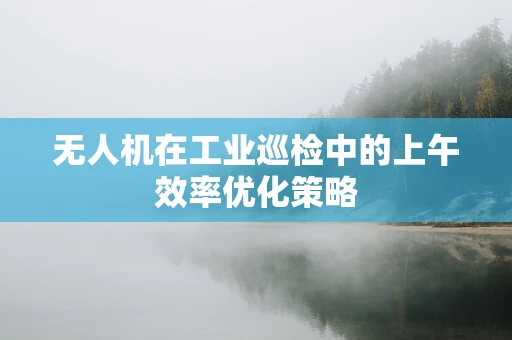无人机在工业巡检中的上午效率优化策略