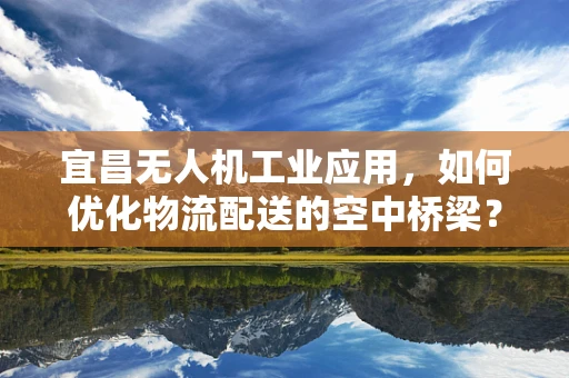 宜昌无人机工业应用，如何优化物流配送的空中桥梁？