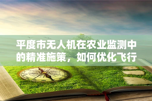 平度市无人机在农业监测中的精准施策，如何优化飞行路径以提升监测效率？