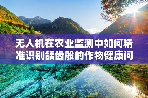 无人机在农业监测中如何精准识别龋齿般的作物健康问题？