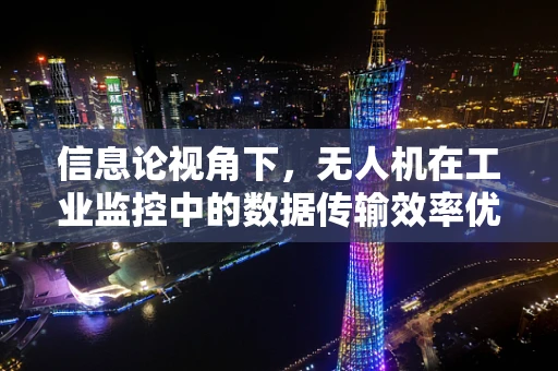 信息论视角下，无人机在工业监控中的数据传输效率优化策略