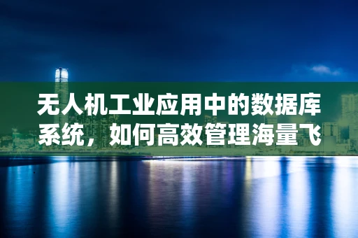 无人机工业应用中的数据库系统，如何高效管理海量飞行数据？