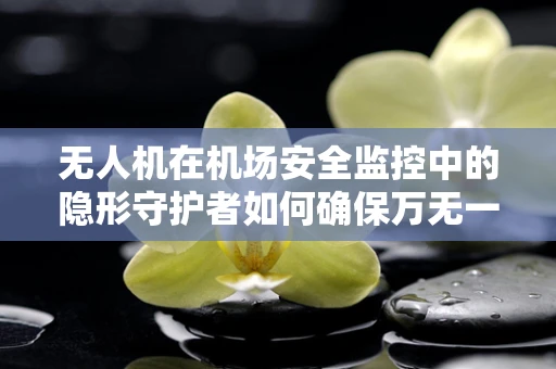 无人机在机场安全监控中的隐形守护者如何确保万无一失？