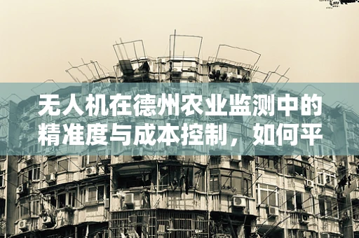 无人机在德州农业监测中的精准度与成本控制，如何平衡？
