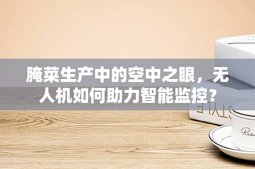 腌菜生产中的空中之眼，无人机如何助力智能监控？