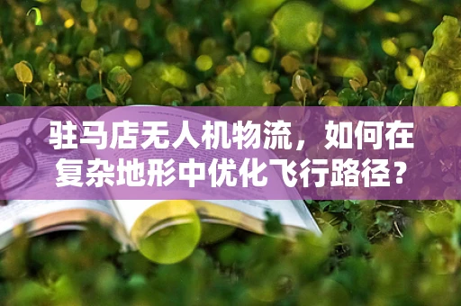 驻马店无人机物流，如何在复杂地形中优化飞行路径？