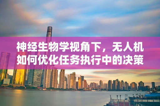神经生物学视角下，无人机如何优化任务执行中的决策过程？