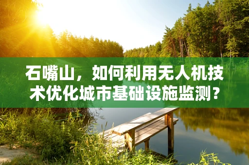 石嘴山，如何利用无人机技术优化城市基础设施监测？