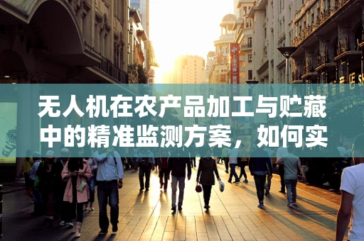 无人机在农产品加工与贮藏中的精准监测方案，如何实现高效与安全？