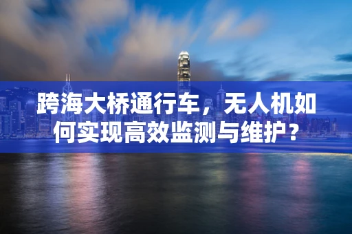 跨海大桥通行车，无人机如何实现高效监测与维护？